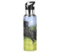 Mnsruu Black Friesian Horse On The Meadow Drink Flask Water Bottle Thermos with Straw Lid for Boys Girls,600 ml,Leakproof Stainless-Steel Sports Bottle