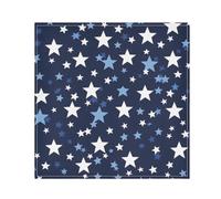 Mnsruu Blue and White Five-pointed Star Pattern Cloth Napkins Polyester Dinner Napkins Set of 6 for Indoor Outdoor Dining Special Occasions Parties