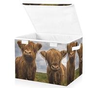 Mnsruu Storage Boxes with Lids, Funny Scottish Highland Cattle Cows Large Storage Basket Organizer Shelves Cube Bin Toy Clothes Underbed