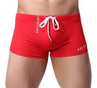 MNSWR Swimming Trunks Briefs Men's Low Waist Bikini Sexy Swimming Shorts Triangle Beach Bikini for Men Swimming Trunks Men's Low Rise Mesh Briefs String Men's Underwear Thong, red, XL