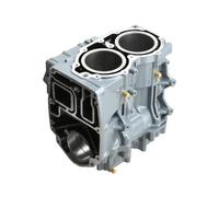 MnterU Crankcase Cylinder Block For E40X 40HP 66T-15100-02-1S