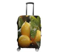 MNVTSKOP Fresh Lemon Luggage Covers Scratch-Resistant Washable Suitcase Cover Polyester Elastic Travel Baggage Protector for Suitcase Protector Cover, White, S