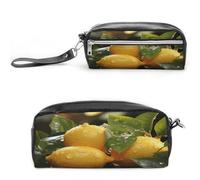 MNVTSKOP Fresh Lemon Makeup Bag Small Cosmetic Travel Case Portable Stationery Organizer for Women Teacher