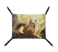 MNVTSKOP Funny Squirrel Pet Hammock Breathable Cat Hanging Hammock with Adjustable Straps and Metal Hooks Plush Small Animal Soft Hideout Bed for Indoor and Outdoor