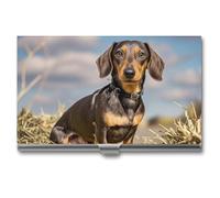 MNVTSKOP Metal Business Card Holder Slim Business Card Case Purse Name Cards Holders Dachshund Dog Professional Businesses Cards Organizer Credit Carrier for Men Women, Dachshund Dog, 3.7 × 2.2 × 0.3