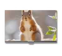 MNVTSKOP Metal Business Card Holder Slim Business Card Case Purse Name Cards Holders Squirrel Funny Animal Professional Businesses Cards Organizer Credit Carrier for Men Women, Squirrel Funny Animal
