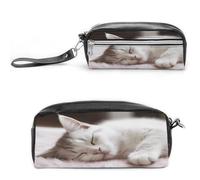 MNVTSKOP Sleeping Cat Makeup Bag Small Cosmetic Travel Case Portable Stationery Organizer for Women Teacher