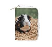 MNVTSKOP Soft Leather Credit Card Holder Bank Card Case Cute Guinea Pigs Business Cards Case Purse with 20 Card Slots ID Case Organizer Zipper Wallet for Women Men, Cute Guinea Pigs, 3.15 × 4.5 inches