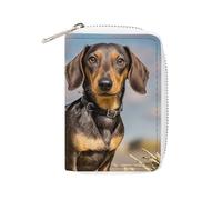 MNVTSKOP Soft Leather Credit Card Holder Bank Card Case Dachshund Dog Business Cards Case Purse with 20 Card Slots ID Case Organizer Zipper Wallet for Women Men, Dachshund Dog, 3.15 × 4.5 inches