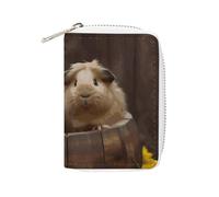 MNVTSKOP Soft Leather Credit Card Holder Bank Card Case Guinea Pigs Business Cards Case Purse with 20 Card Slots ID Case Organizer Zipper Wallet for Women Men, Guinea Pigs, 3.15 × 4.5 inches, Casual