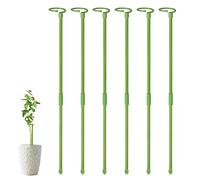 Moageme 6 Plant Support Stakes, Garden Single Stem Support Stake Amaryllis Plant Cage Support Rings Plant Support Sticks for Flower, Tomatoes, Lily, Peony (80cm)
