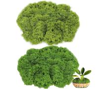 MOAZIFI Moss in 2 Different Colours, 200 g for Moss Pictures, Moss Picture, Artificial Moss, Preserved, Artificial Moss for Crafts, Easter Decoration, Spring Decoration, Decoration Suitable for Easter