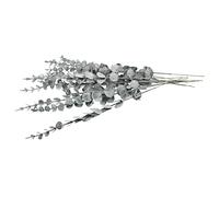 Mobestech 12pcs Artificial Eucalyptus Branches Dark Decorative Leaf Stems for Home Wedding Thanksgiving Party Faux Plants Photo Props