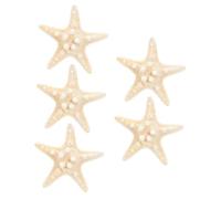 Mobestech 5Pcs Ocean Themed Natural Sea Star Ornaments Unique Home Decor Photo Props Party Setting Decorations for Beach Parties Craft Projects More