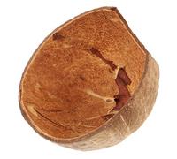 Mobestech Coconut Shell Reptile Hideout Shelter Terrarium Cave for Turtles and Crabs Safe Non-toxic Tank Accessory Creative Decorative Habitat for Reptile Exploration and Play