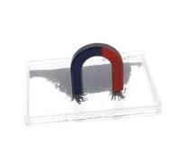 Mobestech Magnetic Field Demonstration Iron Powder Box 4cm Horseshoe Magnet Physics Teaching Instrument for Science Experiments and Electromagnetism Education