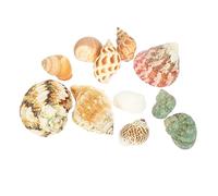 Mobestech Natural Conch Shell Ornament for Aquarium Decor Lightweight and Compact Fish Tank Decoration for Enhancing Aquatic Landscapes and Succulent Displays