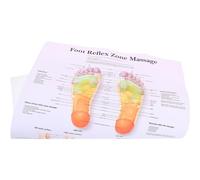 Mobestech Reflexology Chart Feet Large Reflexology Foot Chart Picture Poster 30x40cm Massage