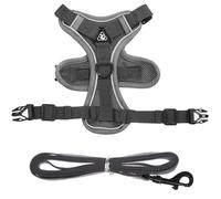 Mobestech Small Dog Harness and Leash Set Vest-shaped Polyester Dog Walking Vest Harness for Safe Use Breathable and Comfortable Design Suitable for Pets 6-9kg Size L