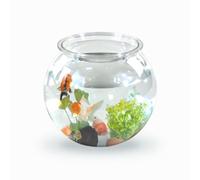 Mobiclinic® Pets, Small Fish Tank, Nemo, 4 liters, Eco-Friendly PET-Plastic, Round, Transparent Design, 20x20x17.5cm, Easy to Clean, Durable, Ideal for Home Decoration, Aquatic Plants