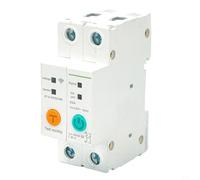 Mobile App WIFI Circuit Breaker 2P 63A, For Smart Device Management with Remote Control and Safety Features (50A)