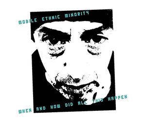 Mobile Ethnic Minority - When and How Did All This Happen [VINYL]
