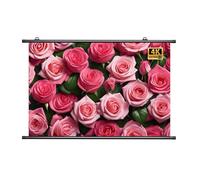 Mobile Outdoor Movie Projection Screen, 60" 72" Lightweight Manual Pull Down Projection Screen for School Home Theatre Cinema Office(72"(4:3))