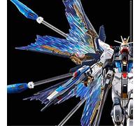 Mobile Suit Gundam SEED Destiny RG Strike Freedom Effect Unit Wings of the Sky