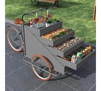 Mobile Vending Cart, Tricycle Food Kiosk, Ice Cream Wagon, Snack Car for Weddings and Events