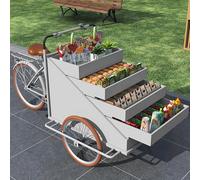 Mobile Vending Cart, Tricycle Food Kiosk, Ice Cream Wagon, Snack Car for Weddings and Events