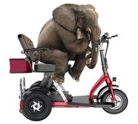 Mobility Scooter 3-Wheel with Charger Lightweight Folding Design Mobility Scooter 3-Wheel for Seniors Ideal Mobility Aid for Enhanced Independence and Convenience (A)