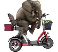Mobility Scooters for Adults, Foldable Lightweight 3-Wheel Mobility Scooter, Scooter for Seniors with Charger And Basket, Comfortable Seat - Ideal For Elderly Disabled