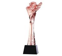 Mobkid Championship Trophy Gold, Silver And Bronze Trophies 1st, 2nd, And 3rd Place Winning Trophies Competition Award Gift Trophy Knowledge And Skills Competition Champion Trophy