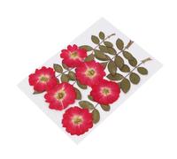 MOBUTOFU 12pcs Natural Dried Rose Flowers DIY Craft Kit with Red Rose Leaves for Handmade Jewelry and Party Decorations, Beautiful Pressed Flower Photo Prop for Creative Resin Art