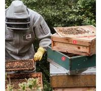 MOBUTOFU 20pcs Beehive Numbered Tags Beekeeping Marker Hanging Signs for Hive Identification and Classification Lightweight Portable Box Labels for Efficient Apiary Management Random Color