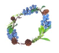 MOBUTOFU Bridal Berries Headband Elegant Wedding Hair Accessory with Simulation Pine Cones, Material, Easy to Wear, One Size Fits Most for Romantic Theme Party and Photography