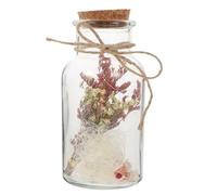 MOBUTOFU Glass Wishing Bottle with Cork Stopper Mini Bottle for Art Decoration and DIY Projects Featuring Adorable Design and Multiple Purposes Assorted Style
