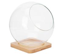 MOBUTOFU Micro Landscape Bottle Comfortable Hand Feeling Khaki with Wooden Lid Glass Decorative Succulent Glass Flowerpot Terrarium Storage Holder for Hotel and Home Use