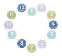 MOBUTOFU Month Keepsake Stickers for Newborn Monthly Photoshoot Props Assorted Colour Paper Material, for Recording Milestones and Commemorating First Year in Photo Props