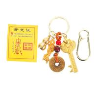 MOBUTOFU Snake Year Zodiac Feng Shui Keychain Car Keychain Emperor Coins and Charm for Wealth and Prosperity