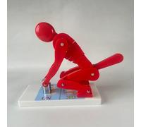 MObyat Human Weight Lifting Spine Force Model, Lumbar Spine Trainer, Demonstrates Weightlifting Forces, ABS Plastic, Ideal for Posture Correction and Educational Use