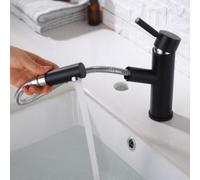 MOCHAMIK BiaoTeng Bathroom Taps Single Hole Hot and Cold Single Handle Brass Pull Out Bathroom Mixer Tap Black + Silver