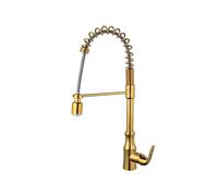 MOCHAMIK Gold Kitchen Faucet with LED Pull Down Spray, Swivel Sink Mixer Tap for Bathroom Vanity, Gold Polish Washbasin Faucet, Spring, and Stylish