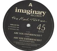 Mock Turtles - Are You Experienced