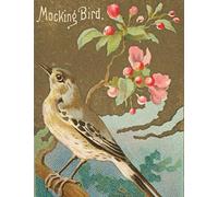 Mockingbird: Journal, Notebook, Diary, Logbook