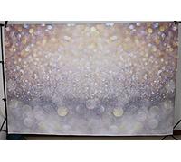 Mocsicka Bokeh Photography Backdrop Blue Grey Spots Sparkle (No Real Glitter) Background Weeding Baby Shower Birthdat Newborn Baby Portrait Photo Studio Props (8x6ft(96x72 inch))