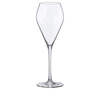 MODE Rona Champagne / Prosecco Chalice 24 cl Set of 6
