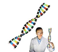 Model : 3D Molecular Structure Model, Educational Teaching and Learning Toy, Visual Science Demonstration Kit | For Classroom Lesson Home ST Learning Activity