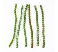 Model Bushes Strip 20cm Miniature Shrubs for Railroad Scenery Static Grass for tufts Gaming Terrain Wargame Layout Artificial Plants Pack of 6