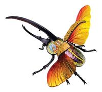 Model Organ Model Biological Insect Anatomical Teaching Model 4D Vision Beetle Anatomy Model Medical Research Demonstration